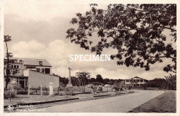 Avenue Reine Astrid - Léopoldville - Congo - Kinshasa - Leopoldville (Leopoldstadt)