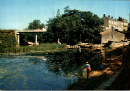 85 - MONTAIGU / LE PONT SAINT NICOLAS ET LA MAINE - PECHEUR A LA LIGNE - Montaigu