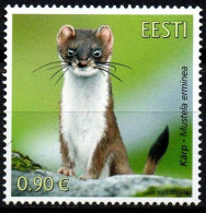 Estland Eesti 2021 - Mi.Nr. 1020 - Postfrisch MNH - Tiere Animals Hermelin - Knaagdieren