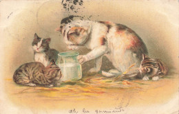 ANIMAUX - Chats - Ah Les Gourmands - Des Chats Avec Un Verre De Lait - Carte Postale Ancienne - Gatos