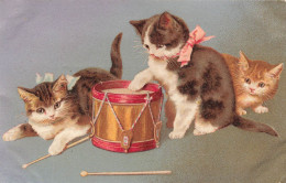 ANIMAUX - Chats - Chatons Avec Un Tambour - Carte Postale Ancienne - Chats