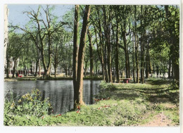 91 GIF-sur-YVETTE ++ Le Parc Et La Pièce D'eau ++ - Gif Sur Yvette