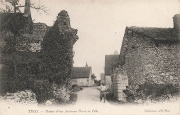 FRANCE - Troo - Ruines D'une Ancienne Porte De Ville - Dos Non Divisé - Carte Postale Ancienne - Other & Unclassified