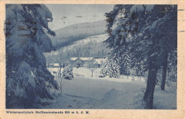 CPA TCHEQUIE / WINTERSPORTPLATZ / HOFFMANNSBAUDE - Tchéquie