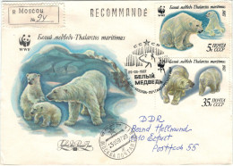 Sowjetische Expedition 1987 Moskau Reko Eisbär Thalarctos Maritimus - Altri & Non Classificati