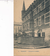 GERAARDSBERGEN GRAMMONT LA FONTAINE DU MARBOL - Geraardsbergen