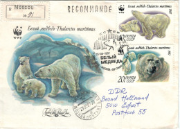 Sowjetische Expedition 1987 Moskau Reko Eisbär Thalarctos Maritimus - Sonstige & Ohne Zuordnung