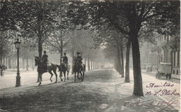 BELGIQUE - Bruxelles - Avenue Louise - Dos Non Divisé - Carte Postale Ancienne - Avenidas, Bulevares