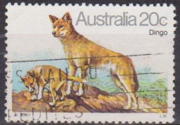 Faune - AUSTRALIE - Dingo, Chien Sauvage - N° 689 - 1980 - Oblitérés