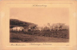 BELGIQUE - Le Luxembourg - Labourage Nivernais - Rosa Bonheur Pinx - Vaches - Carte Postale Ancienne - Other & Unclassified