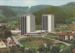 AK 193505 GERMANY - Bad Lauterberg Im Harz - Panoramic Hotel - Bad Lauterberg