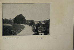 De Steeg (Rheden) Ca 1899 - Andere & Zonder Classificatie