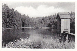 AK 193508 GERMANY - Hahnenklee / Oberharz - Grumbacher Teich - Oberharz