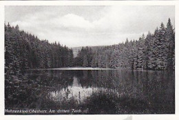 AK 193509 GERMANY - Hahnenklee / Oberharz - Am DrittenTeich - Oberharz