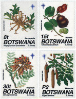 97825 MNH BOTSWANA 1991 NAVIDAD. PLANTAS - Botswana (1966-...)