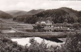 AK 193519 GERMANY - Bad Sachsa - Hotel Forellengrund - Bad Sachsa