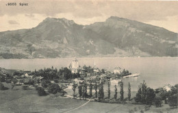 SUISSE - Spiez - Vue - Carte Postale Ancienne - Spiez