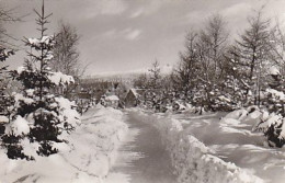 AK 193548 GERMANY - Braunlage / Oberharz - Im Oberen Kurgarten - Braunlage