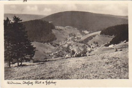 AK 193554 GERMANY - Wildemann / Harz - Wildemann