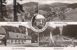 AK 193555 GERMANY - Wildemann / Harz - Wildemann
