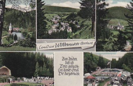 AK 193557 GERMANY - Wildemann / Oberharz - Wildemann