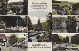 AK 193558 GERMANY - Wildemann / Oberharz - Wildemann