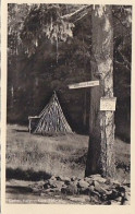 AK 193581 GERMANY - Sieber I. Harz - Köte Rohrtal - Oberharz