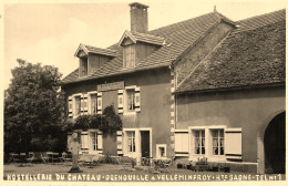 Velleminfroy * Carte Photo * Hostellerie Du Château Grenouille Te.n°1 * Hôtel - Sonstige & Ohne Zuordnung