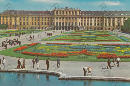 CARTOLINA  WIEN,AUSTRIA-SCHLOSS SCHONBRUNN-NON VIAGGIATA - Schönbrunn Palace