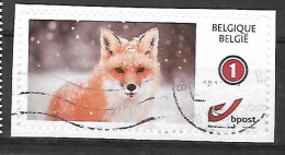 Fauna Fox Renard Vos - Used