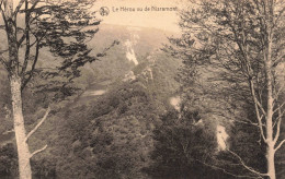 BELGIQUE - Le Hérou Vu De Nisramont - Carte Postale Ancienne - La-Roche-en-Ardenne