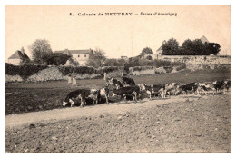 Mettray - Colonie De Mettray - Ferme D'Avantigny - Mettray