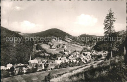 41598056 Sieber Blick Vom Oberen Sieberweg Herzberg Am Harz - Herzberg