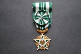 Officier   RENAISSANCE DES ARTS ET LETTRES  Médaille - Frankrijk