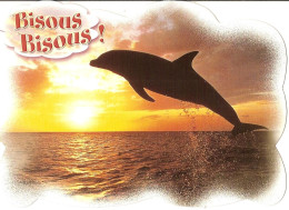 CPM - DAUPHIN - BISOUS BISOUS ! - Dolphins