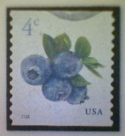 United States, Scott #5653, Used(o), 2022 Definitive, Blueberries, 4¢, Multicolored - Usados