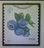 United States, Scott #5653, Used(o), 2022 Definitive, Blueberries, 4¢, Multicolored - Usados