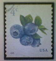 United States, Scott #5653, Used(o), 2022 Definitive, Blueberries, 4¢, Multicolored - Usati