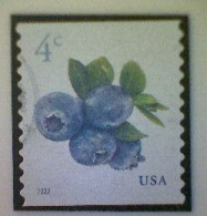 United States, Scott #5653, Used(o), 2022 Definitive, Blueberries, 4¢, Multicolored - Usados