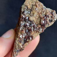 #BRA2.04 - Bello Granato Var. HESSONITE Cristalli (Alpe Delle Frasse, Lajetto, Condove, Torino, Piemonte, Italia) - Minerals