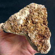 #BRA2.10 - Bella Grande SIDERITE Cristalli (Brosso Mine, Piemonte, Italia) - Minerali