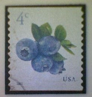 United States, Scott #5653, Used(o), 2022 Definitive, Blueberries, 4¢, Multicolored - Usati