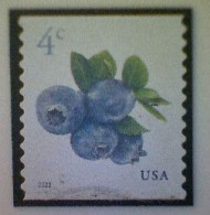 United States, Scott #5653, Used(o), 2022 Definitive, Blueberries, 4¢, Multicolored - Usados