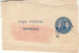 ARGENTINA 1909 WRAPPER SENT - Lettres & Documents