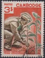 1966 Kambodscha ° Mi:KH 204, Sn:KH 161, Yt:KH 176, Day Of The Tree - Cambodge