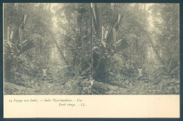 Indonesie Indonesia WEST INDIES Foret Arbres Stereo - Indonésie