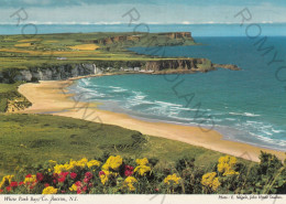 CARTOLINA  WHITE PARK BAY,ANTRIM,IRLANDA DEL NORD,REGNO UNITO-NON VIAGGIATA - Antrim