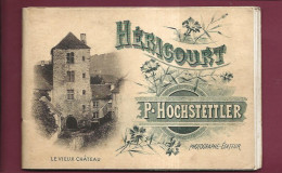 080124A - ALBUM PHOTOGRAPHE EDITEUR P HOCHSTETTLER - HERICOURT  12 Vues - Héricourt