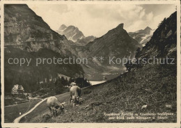 11640166 Seealpsee Gasthasu Forelle Seealpsee - Andere & Zonder Classificatie