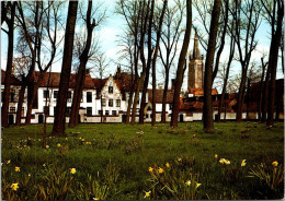 9-1-2024 (4 W 43) Belgium - (UNESCO) Béguinage De Brugges (2 Postcards) - Heilige Stätte